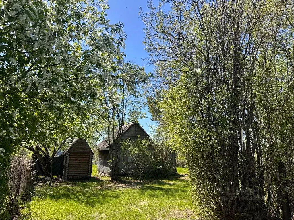 Дом в Алтайский край, Павловский район, с. Стуково Молодежная ул., 11 ... - Фото 0