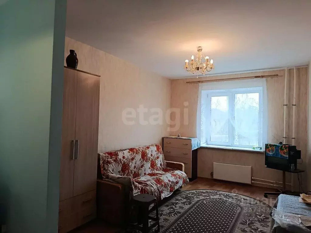 1-к кв. Псковская область, Остров ул. Освобождения, 7А (26.6 м) - Фото 1