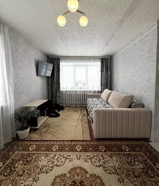 1-к кв. Новосибирская область, Тогучинский район, д. Кудрино ул. ... - Фото 2