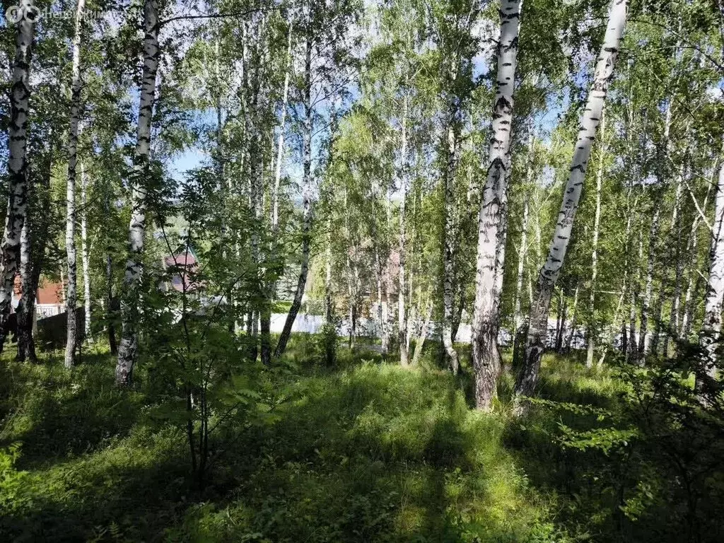 Участок в Миасс, микрорайон Динамо (15 м) - Фото 1