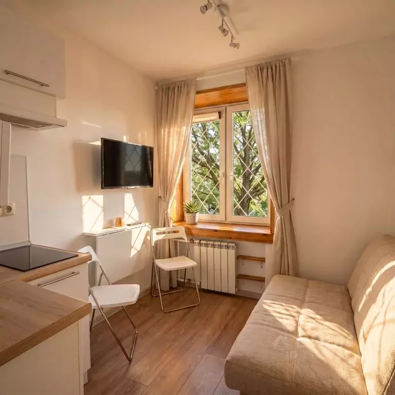 Студия Москва Спартаковский пер., 24С1 (11.0 м) - Фото 1