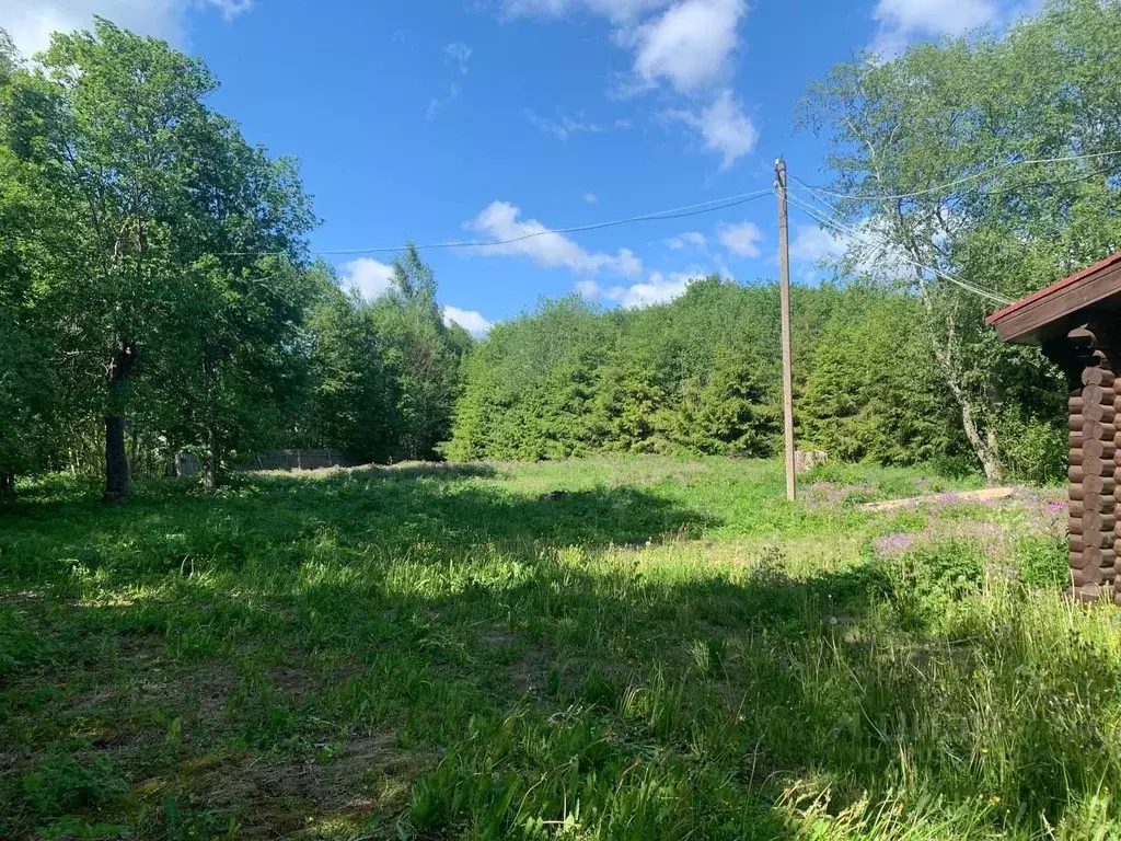 Дом в Новгородская область, Демянский муниципальный округ, д. ... - Фото 2