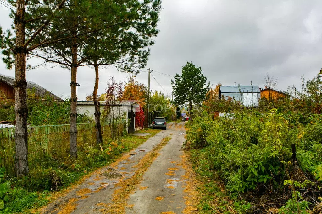 Участок в Новосибирский район, Кудряшовский сельсовет, СНТ Семицвет ... - Фото 1