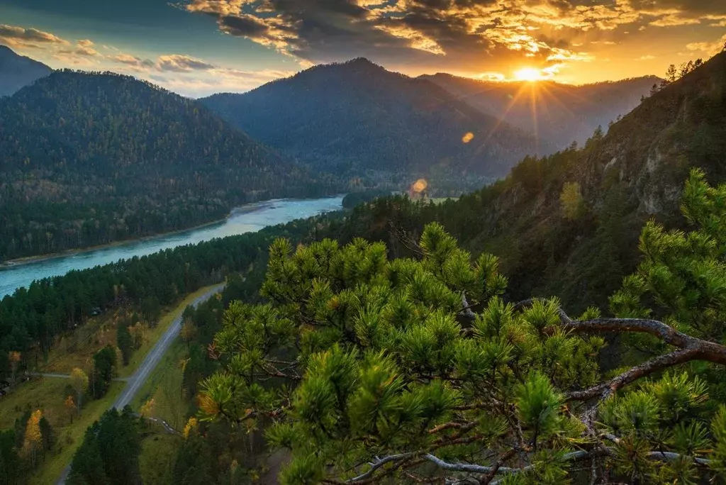 Участок в Алтай, Чемальский район, Элекмонарское с/пос, Седьмое Небо ... - Фото 1