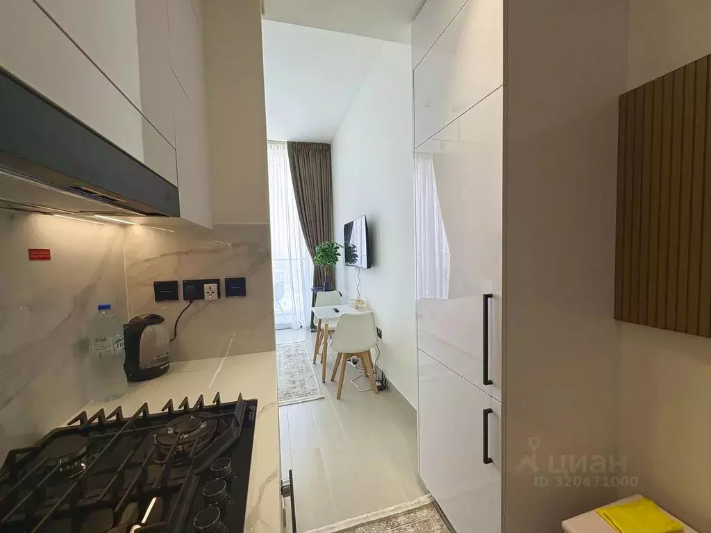 Студия Краснодарский край, Сочи Курортный просп., 95а (25.0 м) - Фото 0