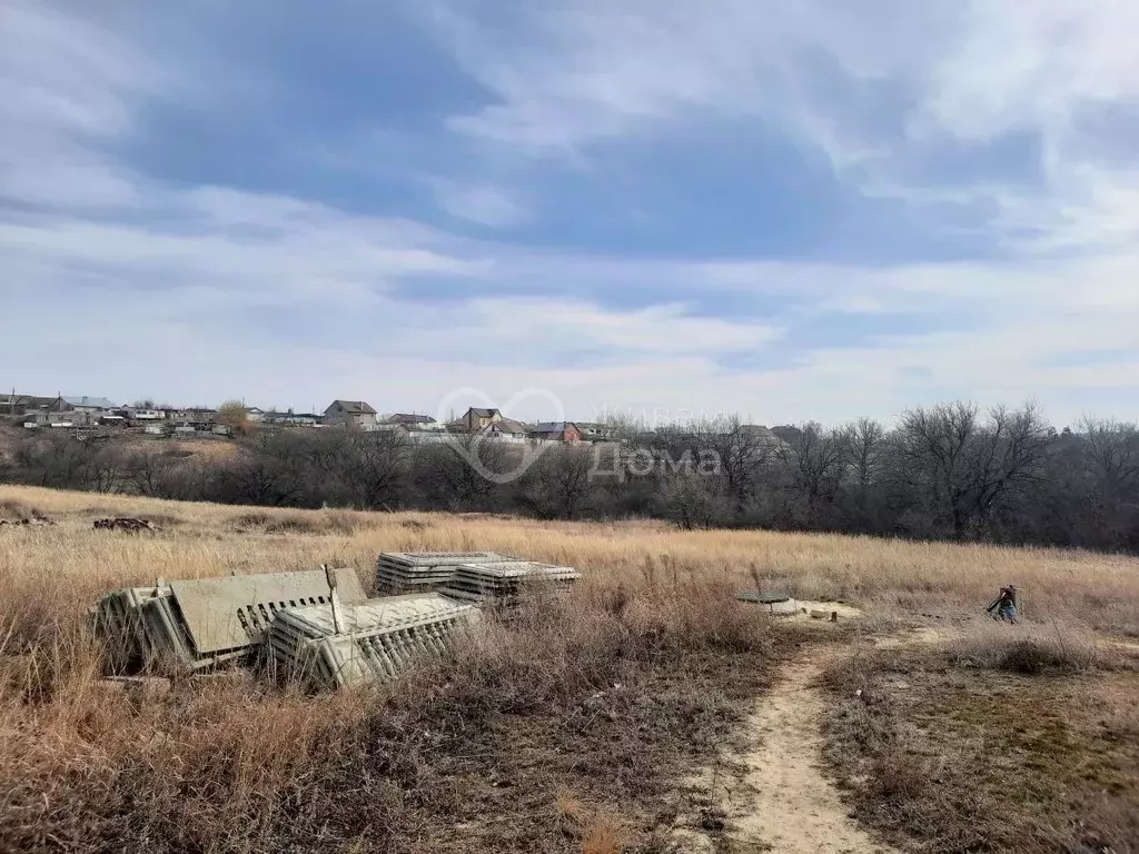 Участок в Волгоградская область, Городищенский район, Царицынское ... - Фото 1
