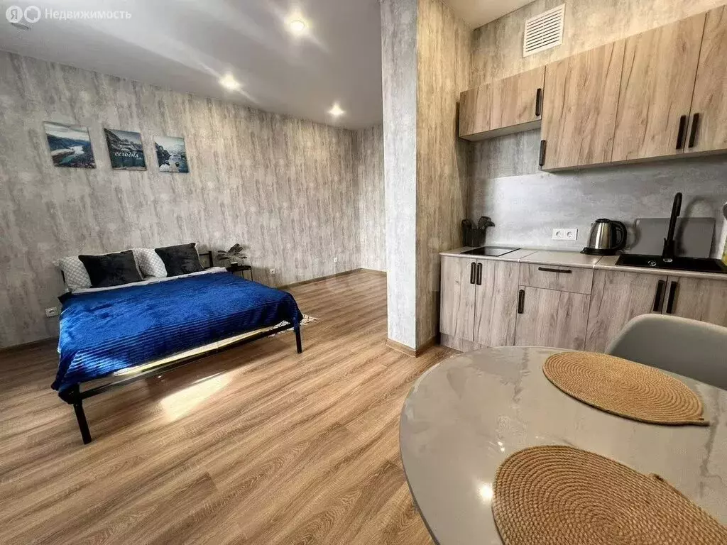 Квартира-студия: Казань, Бирюзовая улица, 1 (29.1 м) - Фото 2