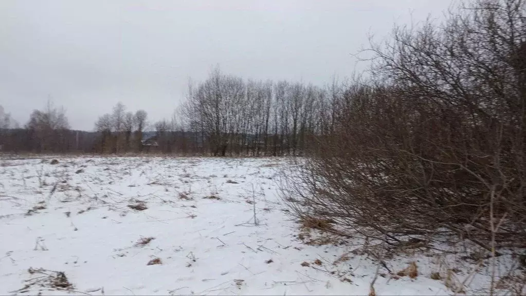 Участок в Московская область, Сергиево-Посадский городской округ, д. ... - Фото 1