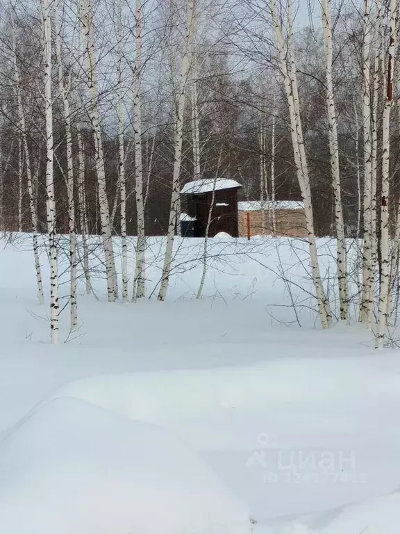 Участок в Новосибирская область, Новосибирский район, Барышевский ... - Фото 1