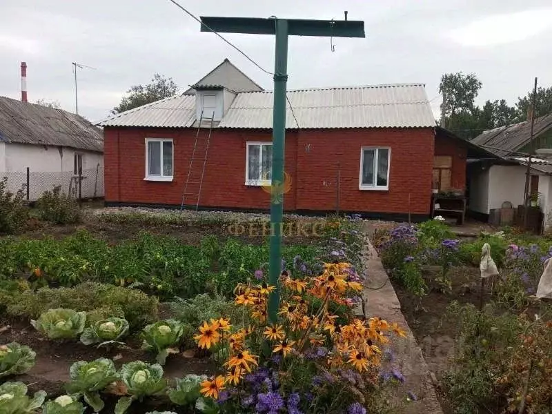 Дом в Белгородская область, Белгород пер. 2-й Северный (78 м) - Фото 1