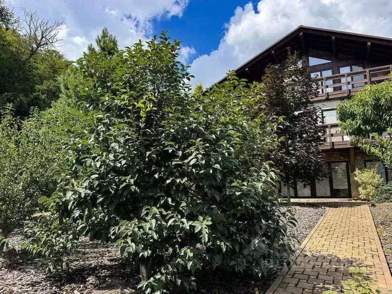 Дом в Краснодарский край, Сочи Красная Поляна пгт, ул. Дальняя (380 м) - Фото 1