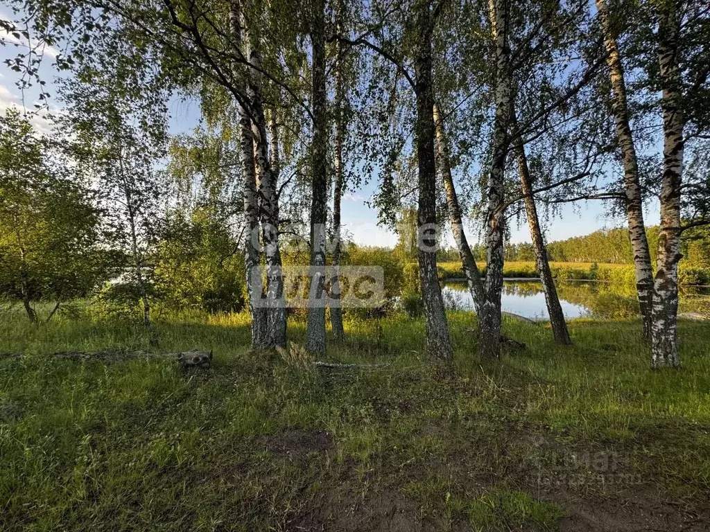 Участок в Тульская область, Веневский муниципальный округ, Манзанарес ... - Фото 1