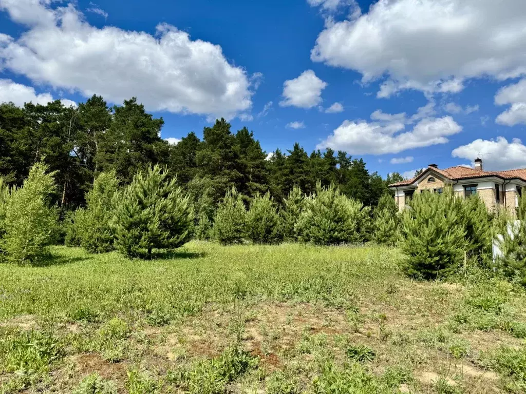 Участок в Московская область, Пушкино Чистые Пруды-3 кп, ул. ... - Фото 1