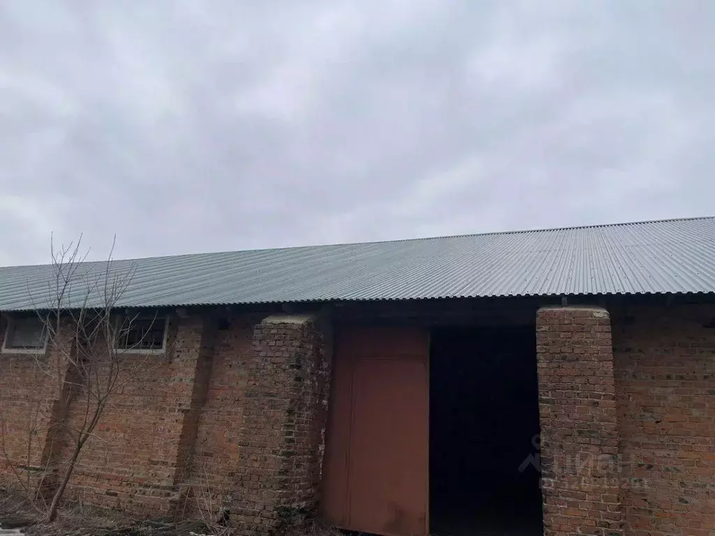 Склад в Московская область, Истра муниципальный округ, д. Кострово ул. ... - Фото 2