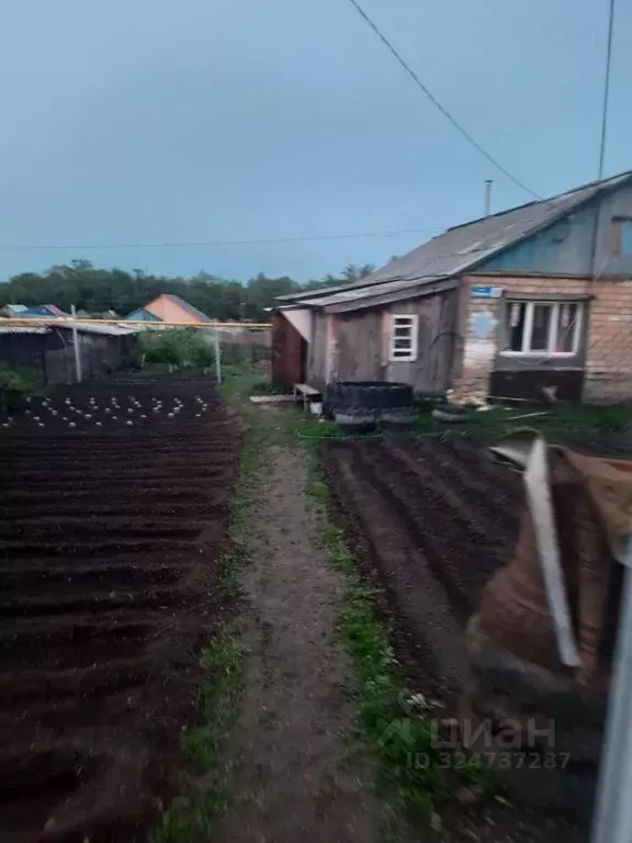 Дом в Оренбургская область, Оренбургский район, с. Бродецкое  (48 м) - Фото 1