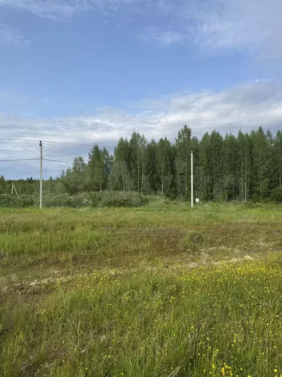 Участок 12 сот. (СНТ, ДНП) - Фото 1