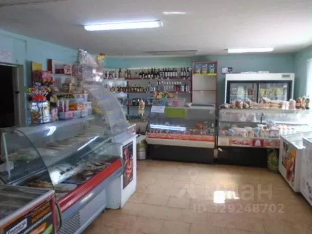 Помещение свободного назначения в Волгоградская область, Дубовка ул. ... - Фото 2