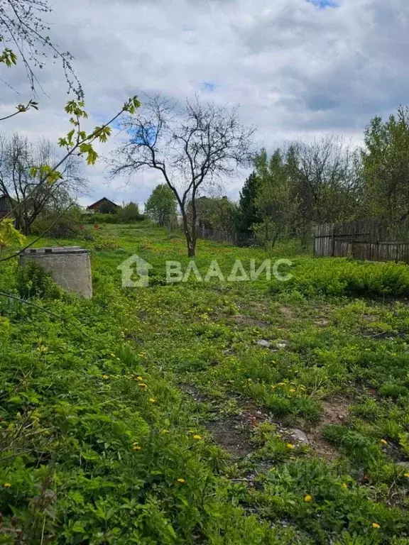 Участок в Владимирская область, Владимир с. Кусуново, ул. Центральная ... - Фото 0