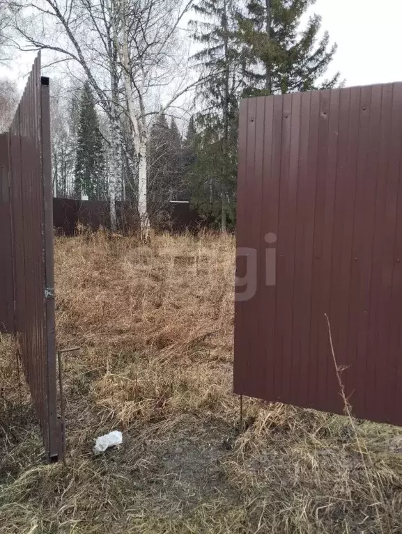 Участок в Новосибирская область, Искитимский район, Мичуринский ... - Фото 0