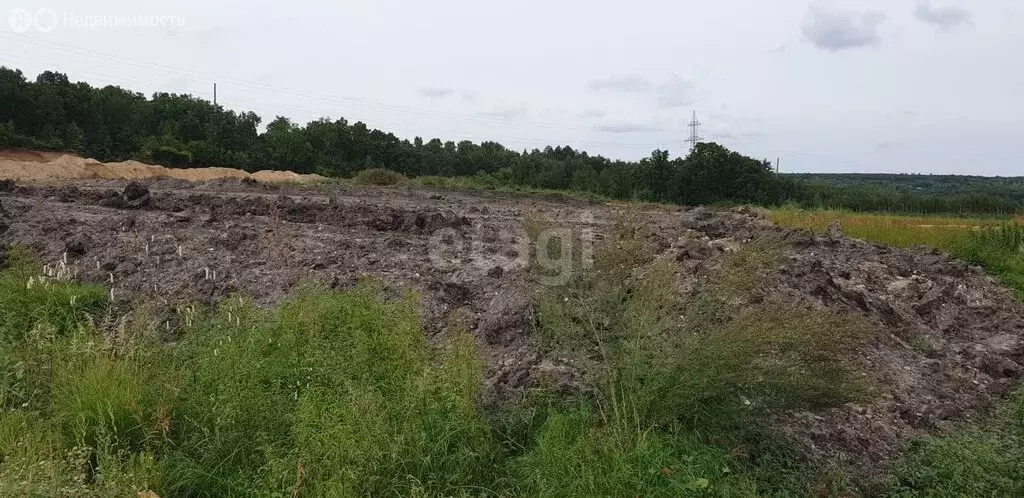 участок в амурская область, благовещенский муниципальный округ, село . - Фото 0