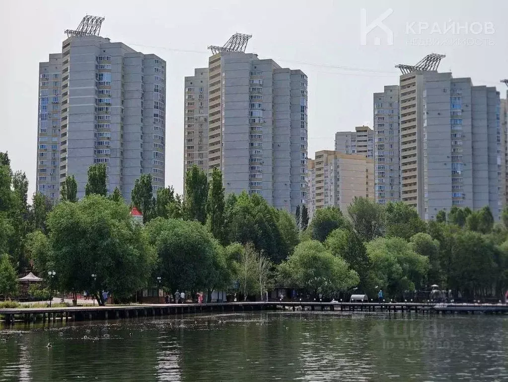 2-к кв. Воронежская область, Воронеж ул. Переверткина, 1/4 (64.0 м) - Фото 0