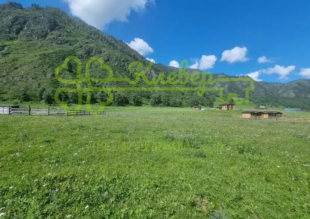 Участок в Алтай, Чемальский район, с. Аюла  (22.0 сот.) - Фото 1
