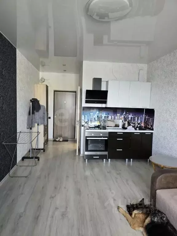 Студия Ханты-Мансийский АО, Сургут ул. Александра Усольцева, 30 (23.5 ... - Фото 1