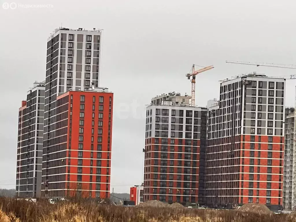 Квартира-студия: Новосаратовка, ЖК Город Звёзд (24.73 м) - Фото 1