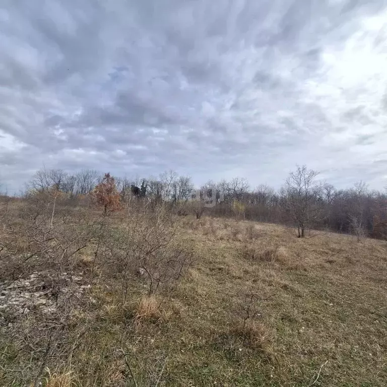 Участок в Краснодарский край, Новороссийск городской округ, с. ... - Фото 1