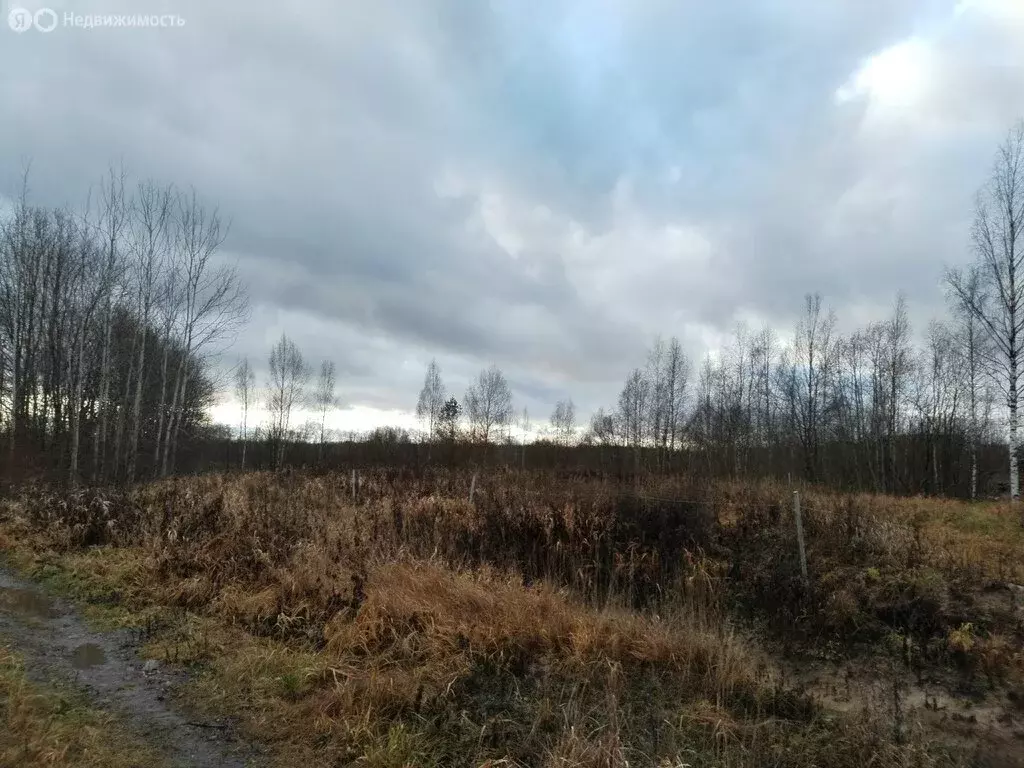 Участок в Ленинградская область, Кириши (11.7 м) - Фото 1