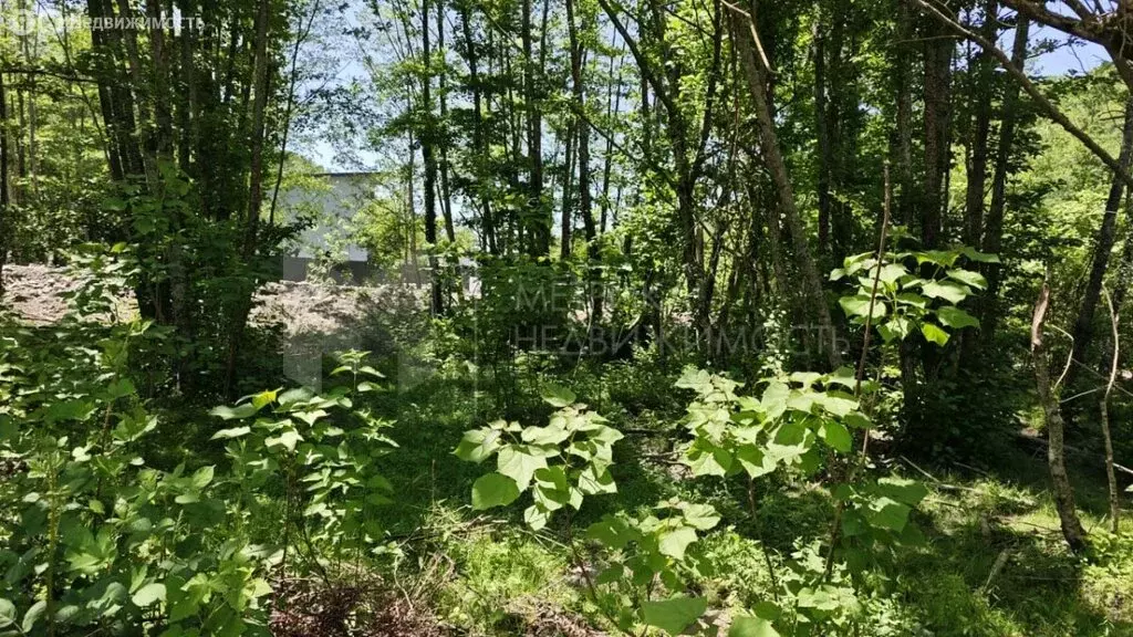 Участок в Краснодарский край, городской округ Сочи, село Солохаул (6 ... - Фото 0