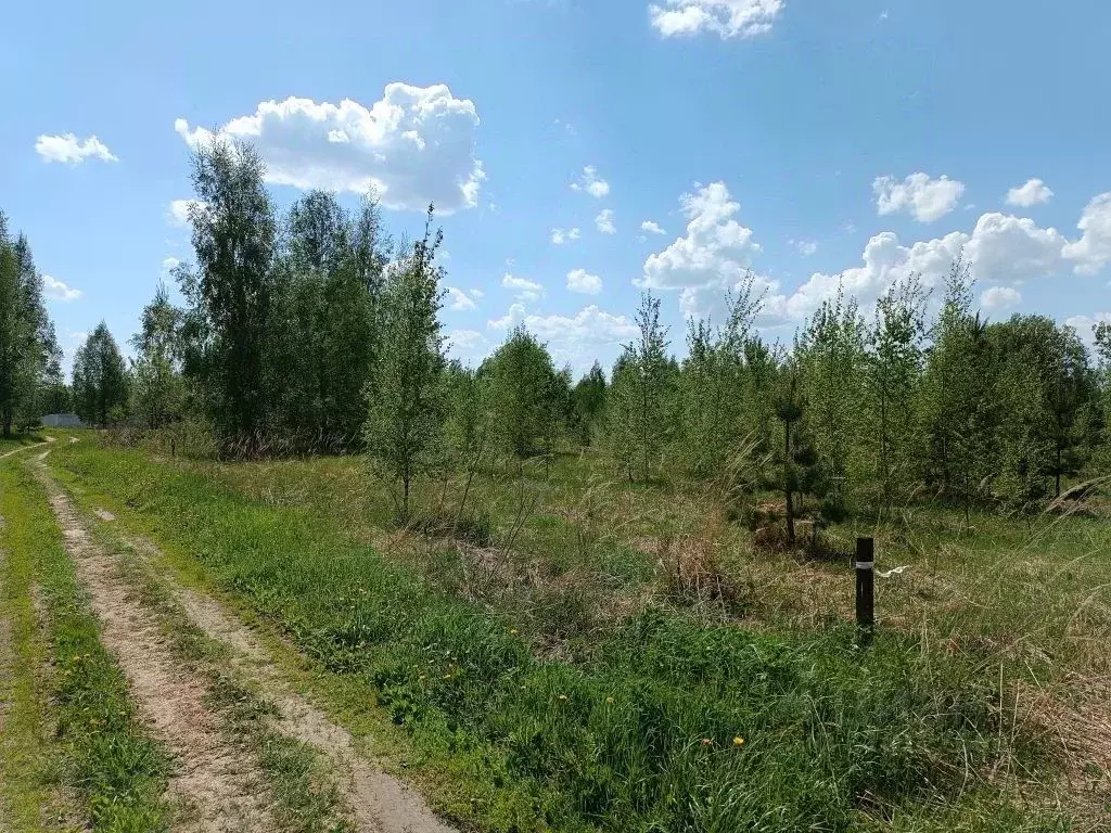 Участок в Ярославская область, Некрасовский муниципальный округ, ... - Фото 1