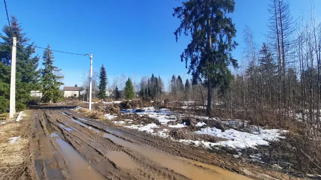 Участок в Ленинградская область, Всеволожский район, Агалатовское ... - Фото 1
