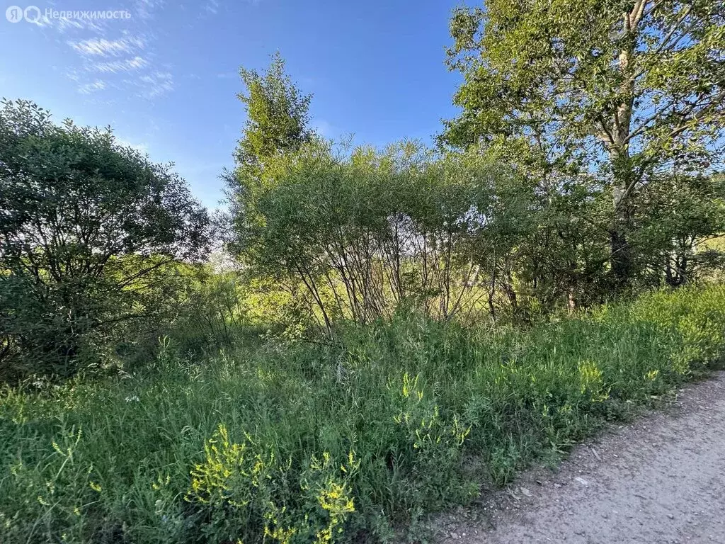 Участок в Шелеховский район, Олхинское муниципальное образование, ... - Фото 2