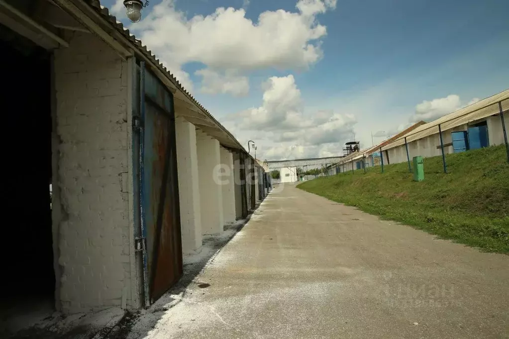 Склад в Белгородская область, Борисовский район, Хотмыжское с/пос, с. ... - Фото 2