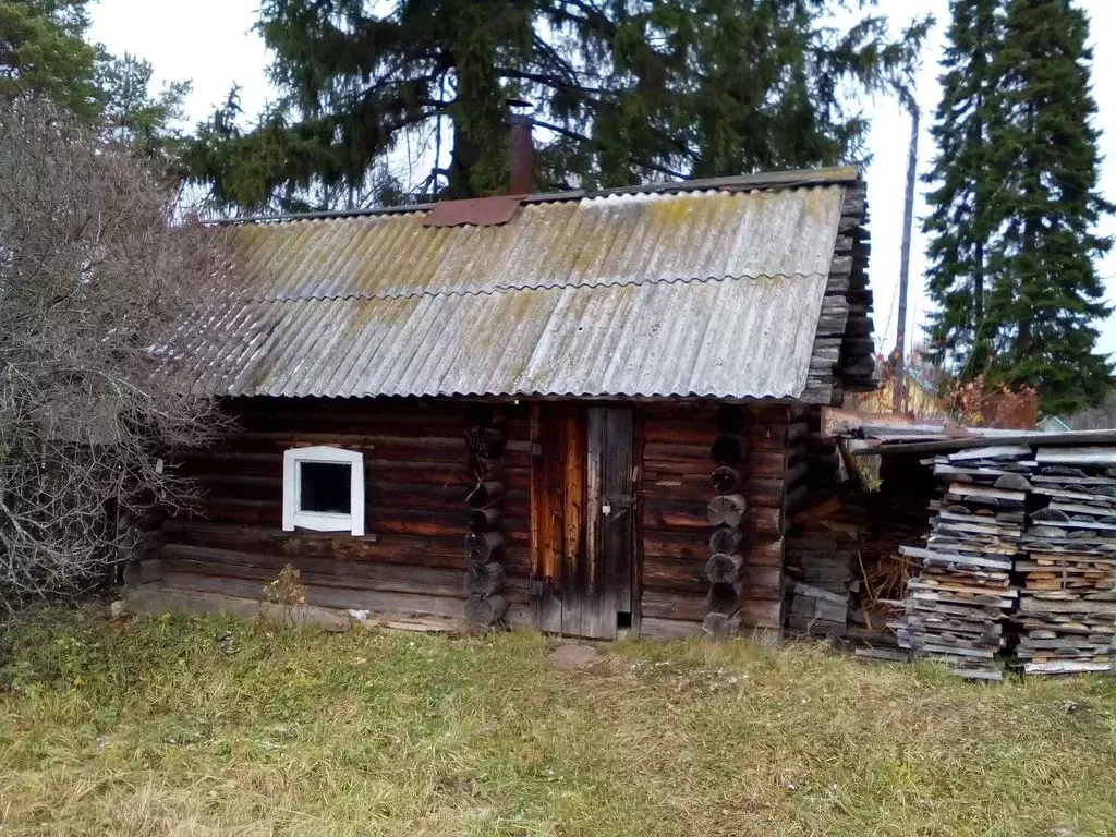 Дом в Пермский край, Частинский муниципальный округ, с. Меркуши ул. ... - Фото 2