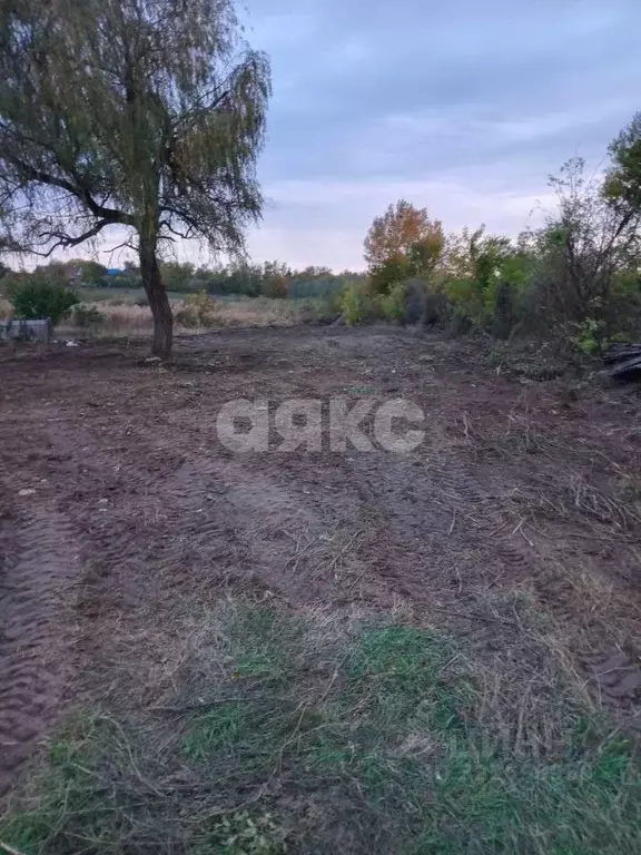 Участок в Краснодарский край, Кореновский район, Раздольная ст-ца ... - Фото 1