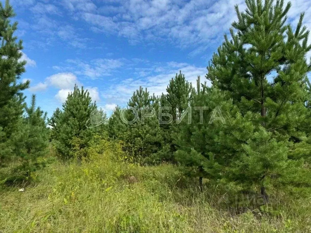 Участок в Тюменская область, Тюменский район, с. Салаирка ул. ... - Фото 1