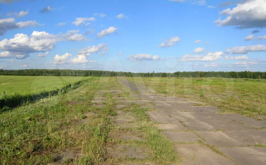 Погода в врачово горках