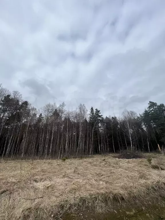Участок 6,9 сот. (ИЖС) - Фото 0