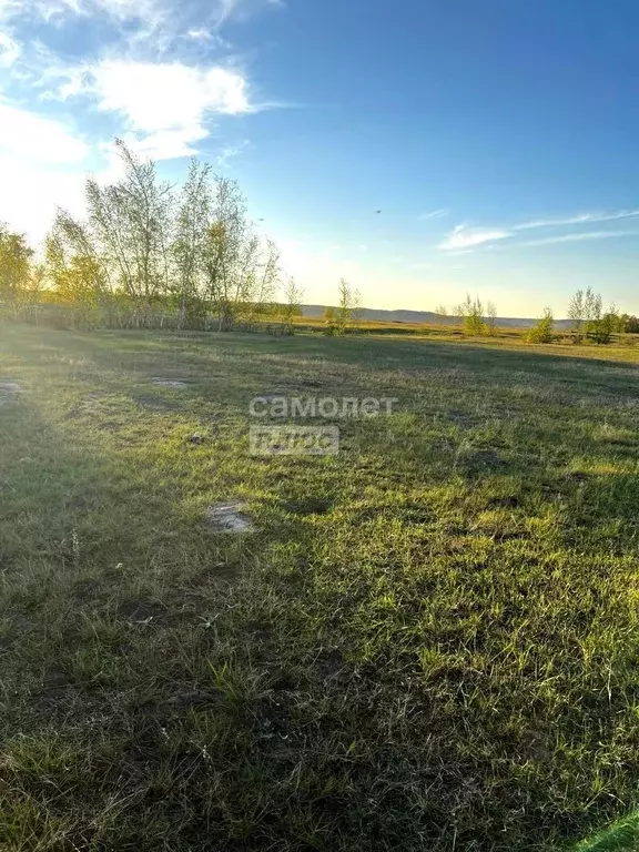 Участок, 800 сот., сельхоз (снт или днп) - Фото 1