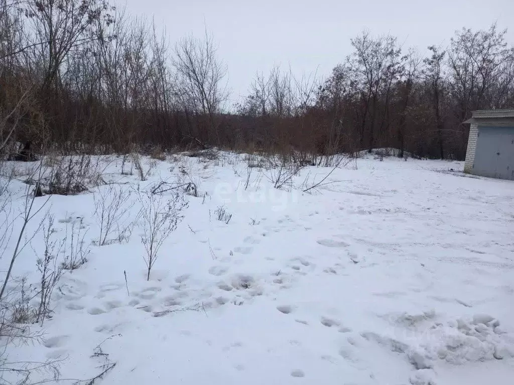 Участок в Белгородская область, Губкин Горняк-Мичуринец СТ,  (6.98 ... - Фото 0