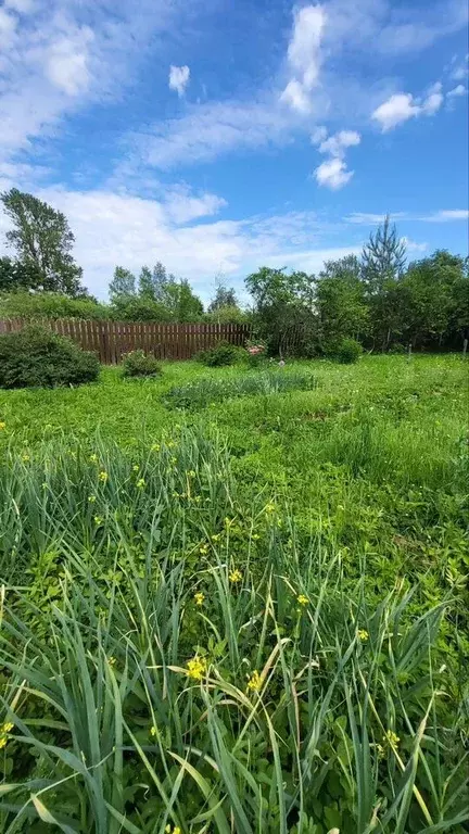 Участок в Ленинградская область, Бокситогорское городское поселение, ... - Фото 1