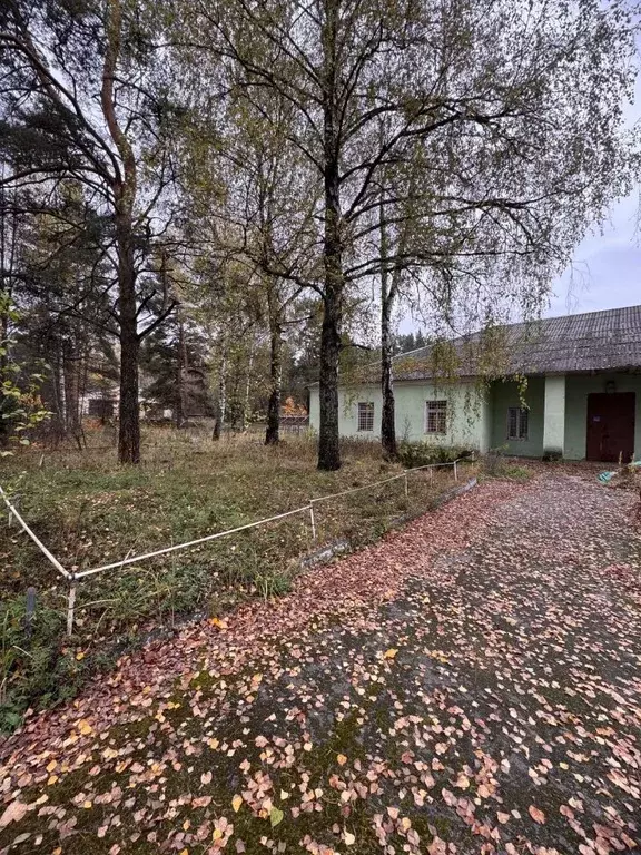 Помещение свободного назначения в Московская область, Богородский ... - Фото 2
