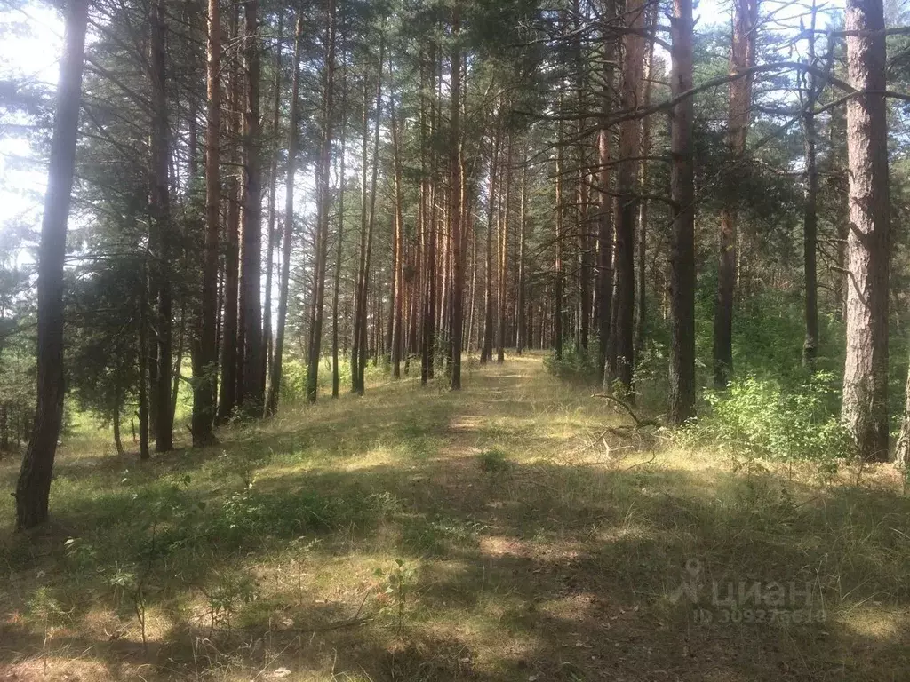 Участок в Тверская область, Калининский муниципальный округ, д. Старое ... - Фото 1