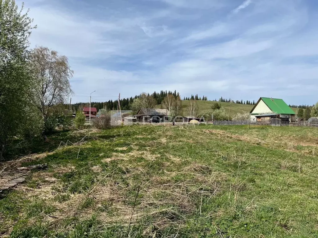 Участок в Алтай, Чойский район, с. Киска Дружная ул., 9 (24.0 сот.) - Фото 1