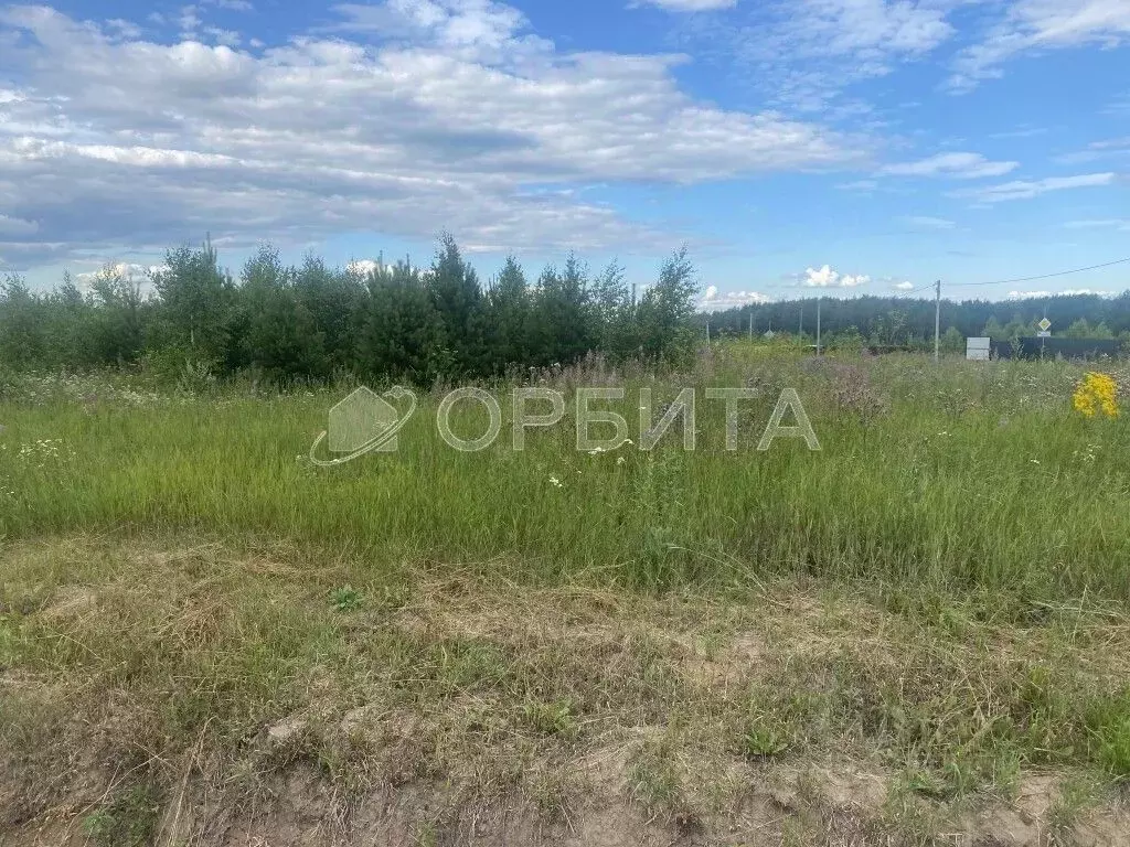 Участок в Тюменская область, Тюменский муниципальный округ, с. Кулига  ... - Фото 2