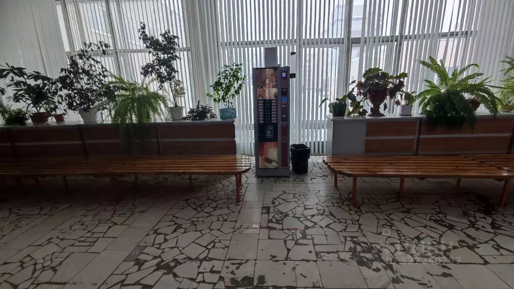 Помещение свободного назначения в Мордовия, Саранск ул. Богдана ... - Фото 1