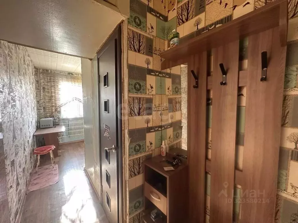 1-к кв. Челябинская область, Озерск проезд Калинина, 6 (29.0 м) - Фото 1