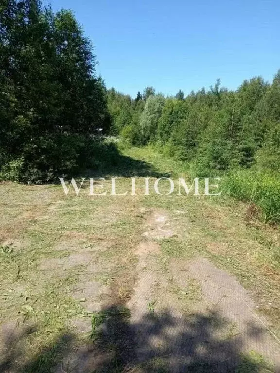 Продается участок в ДПК Оленев и К - Фото 1